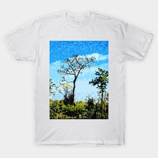 Trees At The Julington-Durbin Preserve Florida 2715 T-Shirt